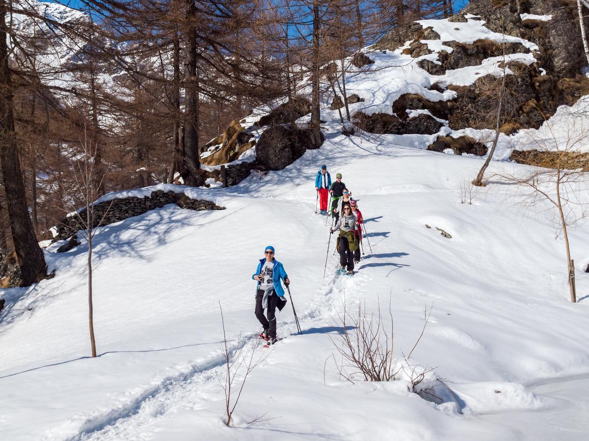 Gruppenhaus Im Walliser Alpstyle Rosswald エクステリア 写真
