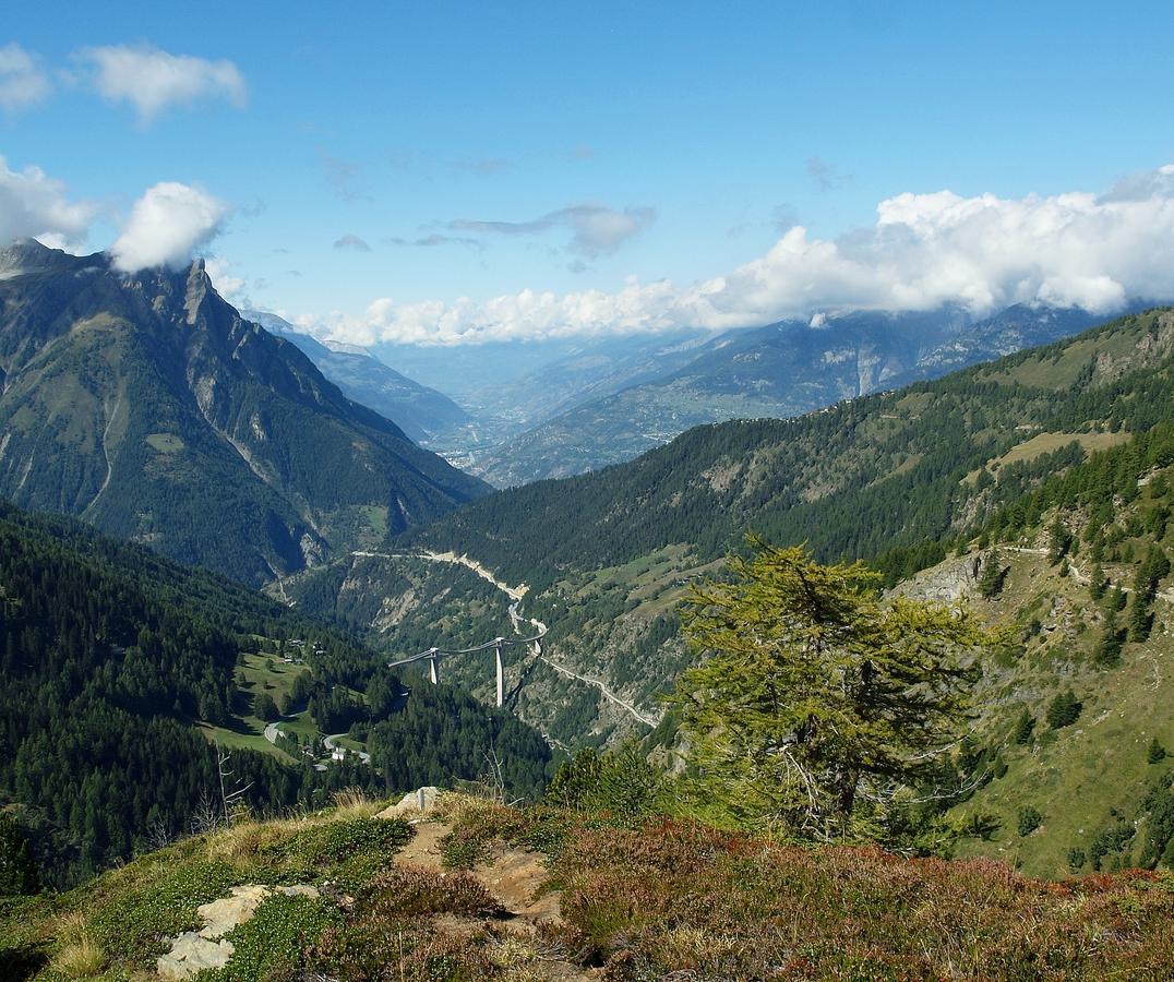 Gruppenhaus Im Walliser Alpstyle Rosswald エクステリア 写真