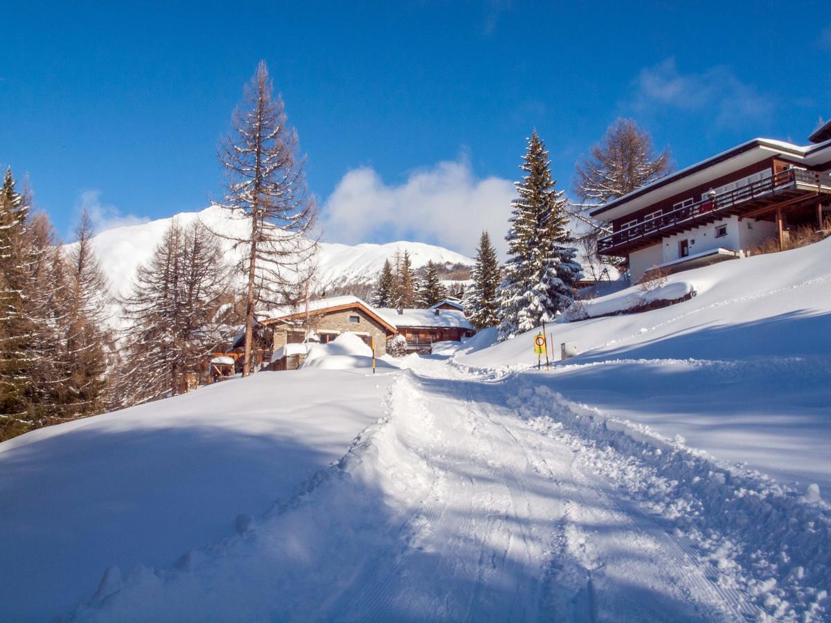 Gruppenhaus Im Walliser Alpstyle Rosswald エクステリア 写真