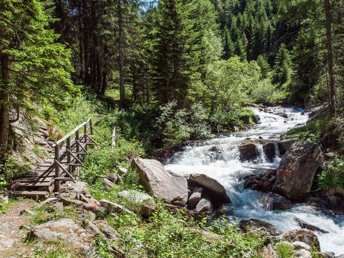 Gruppenhaus Im Walliser Alpstyle Rosswald エクステリア 写真